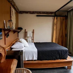 https://bufo-alvarius.quintano-roohotels.com